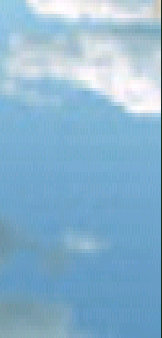 index002012.jpg