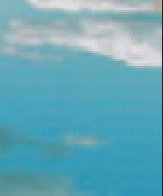 index002013.jpg