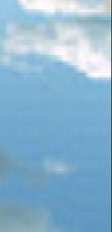 index004012.jpg