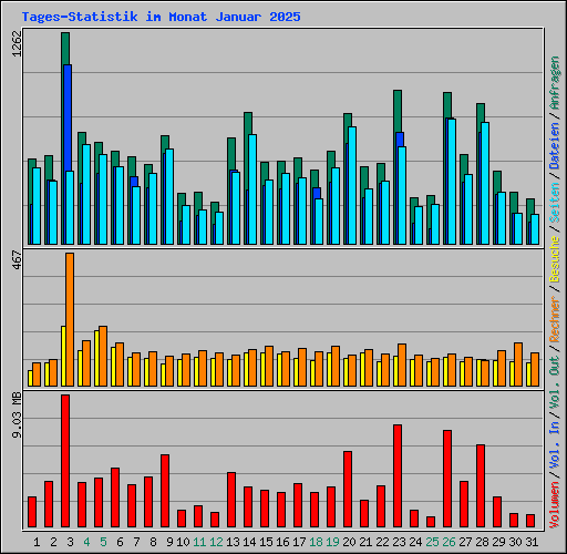 Tages-Statistik im Monat Januar 2025