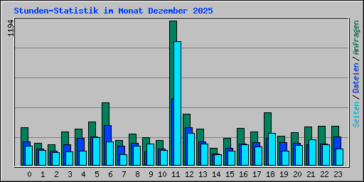 Stunden-Statistik im Monat Dezember 2025