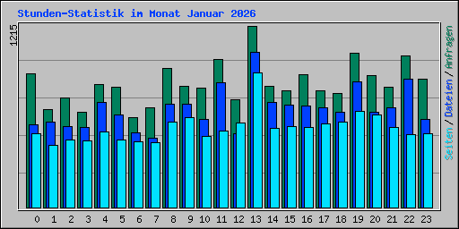 Stunden-Statistik im Monat Januar 2026