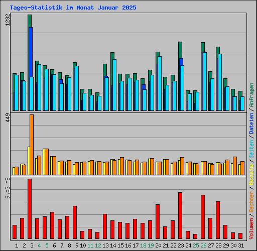 Tages-Statistik im Monat Januar 2025