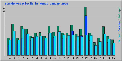 Stunden-Statistik im Monat Januar 2025