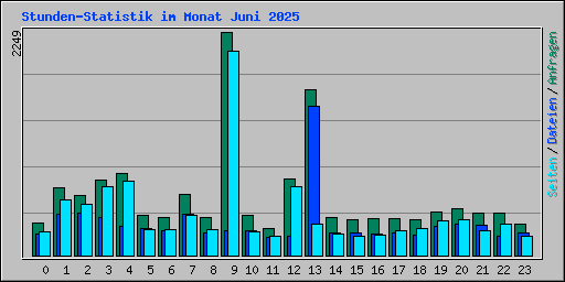 Stunden-Statistik im Monat Juni 2025