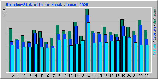 Stunden-Statistik im Monat Januar 2026